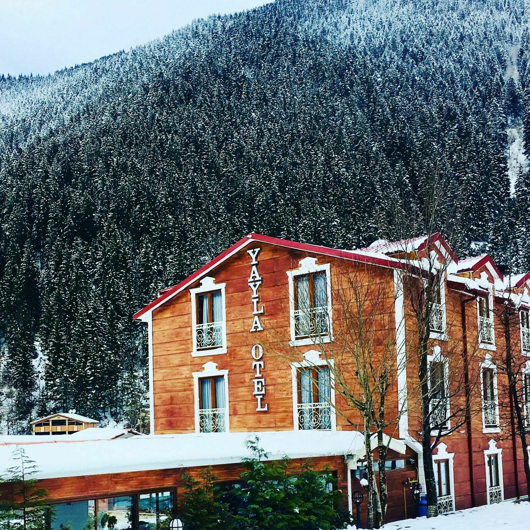 Yayla Hotel Uzungöl Dış mekan fotoğraf